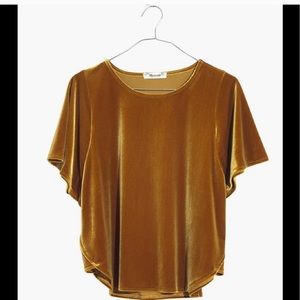 Madewell butterfly velvet top